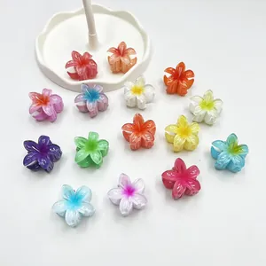 Set dettagliato di 14 mini mollette per capelli a forma di plumeria in vari colori vivaci