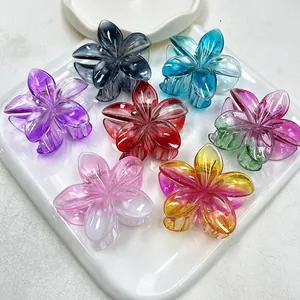 Collection de pinces à cheveux en forme de fleur colorée pour les vacances à la plage
