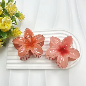 Detail von zwei glänzenden Frangipani-Haarklammern mit pinkem und orangem Farbverlauf