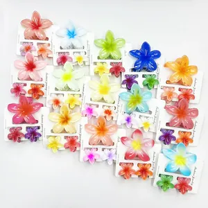 Set di fermagli per capelli a forma di fiore di plumeria colorati per le vacanze estive