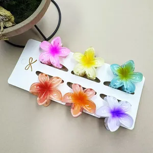 6er-Set bunte 4cm Frangipani-Blüten-Haarklammern auf Displaykarte für den Urlaubslook