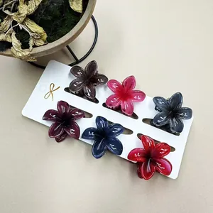 Detailset aus sechs 4cm Frangipani-Blüten-Haarklammern auf Displaykarte für Urlaubslooks
