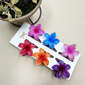 Detailansicht von sechs bunten 4cm Haarklammern in Blumenform auf einer weißen Karte