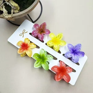Detailansicht von sechs farbenfrohen Plumeria-Blüten-Haarklammern aus mattem Harz