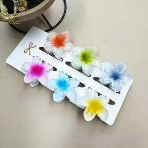 Detail von 6-teiligem bunten Haarklammern-Set mit Blumen auf weißer Displaykarte