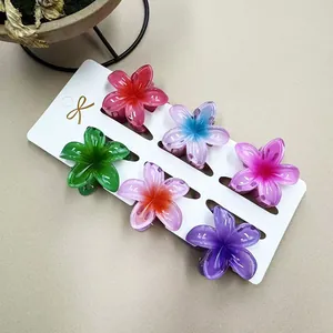 6 bunte lichtdurchlässige Plumeria Blumen Haarklammern Set auf einer weißen Karte