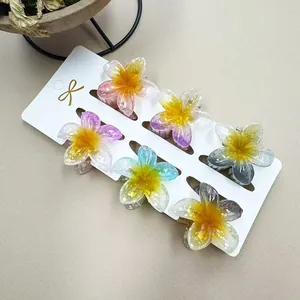 Set mit 6 bunten 4cm Frangipani-Haarklammern auf Displaykarte mit Glitzer-Resin-Details