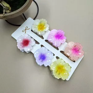 Detailansicht von 6 farbenfrohen Blumen-Haarklammern aus Harz auf einer Präsentationskarte