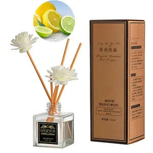 Detailed citrus scented reed diffuser set with 50ml bottle, fiber flowers and paper box