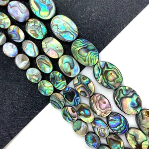 Cuentas ovaladas de concha de abulón natural con brillo de arco iris para joyas