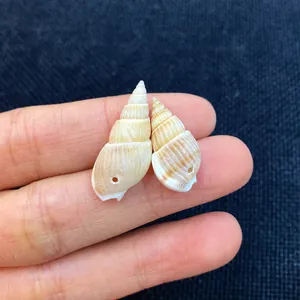 Détails macro de coquillages en spirale naturels avec trous pour la création de bijoux DIY