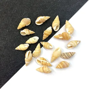 Perles de Coquillage en Spirale Naturelle Mini Coquillage Rayé Avec Trous Prépercés pour Fabrication de Bijoux DIY Collier Projet d'Artisanat Décoration d'Aquarium