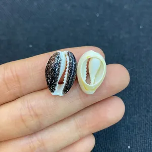 Macro view of natural shell beads with black spotted finish for DIY jewelry crafting