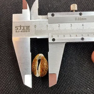 Macro shot showing measurement of a gold glitter natural seashell bead for DIY jewelry