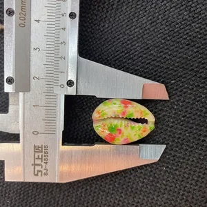 Makroaufnahme bunter bedruckter Kauri-Muscheln mit Größenmessung von 18-20 mm