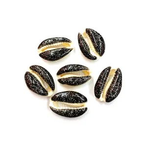 Natural cowrie shell beads with black silver glitter finish for DIY jewelry making