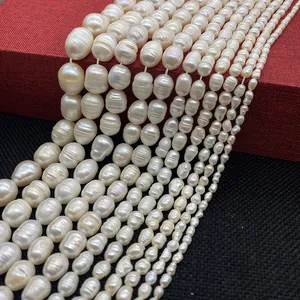 Detail of natural freshwater white pearls in various sizes and shapes on a red display