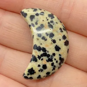 Vue macro d'une pierre de jaspe dalmatien en forme de croissant pour bijoux DIY