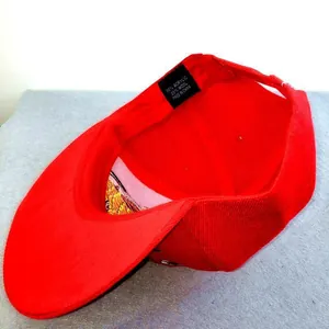 Red embroidered baseball cap interior showing wool blend fabric and snapback closure
