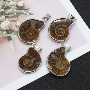 Macro-opname van vier natuurlijke ammoniet fossiele hangers met zilveren metalen plating