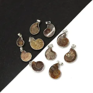 Natuurlijk Ammonietfossiel Hanger Slakkenvorm Spiraalsteen Charm Met Metalen Omhulsel Voor DIY Sieraden Maken Accessoires