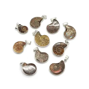Set van 10 natuurlijke ammoniet fossiele hangers met zilveren metalen rand en spiraal