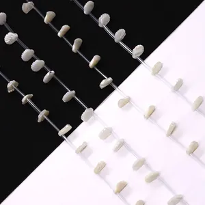 Perles en Vrac de Coquillage Naturel Forme Coquille Saint-Jacques 10x10mm Perles de Coquillage Sculptées pour Bijoux DIY