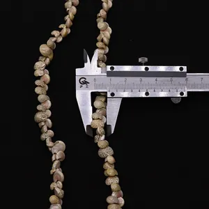 Macro shot showing small natural snail shell bead measuring 8.8mm with a digital caliper