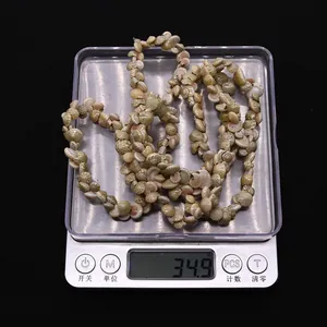Detail view of natural tiny seashells on a digital scale showing weight for DIY jewelry
