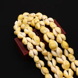 Macro shot of natural cowrie shells with polished yellow finish on dark wood background