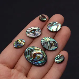 Détail de perles d'abalone ovales avec reflets nacrés naturels sur la main