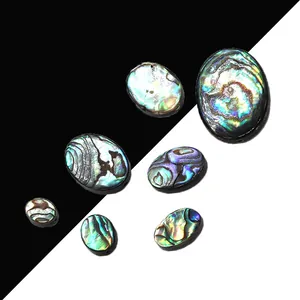 Perles en Coquille d'Abalone Naturelle Ovales Cabochons Polies Iridescentes Pour DIY Création de Bijoux Collier Accessoires