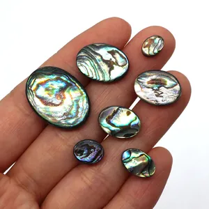Cabochons ovales en nacre d'abalone naturelle aux reflets arc-en-ciel pour bijoux DIY