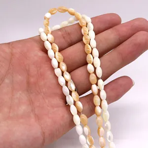 Natürliche Muschelperlen in Weiß und Orange für DIY Schmuckherstellung Handarbeit