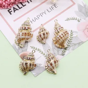 Natural sea shell pendants with gold plated edges for DIY jewelry making 5pcs set
