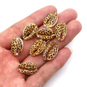 Κοντινό πλάνο με οκτώ κοχύλια cowrie με λεοπάρ σχέδιο για χειροποίητα κοσμήματα
