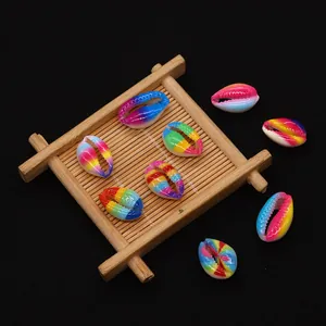 Set of natural rainbow gradient painted seashell beads for DIY jewelry and crafts