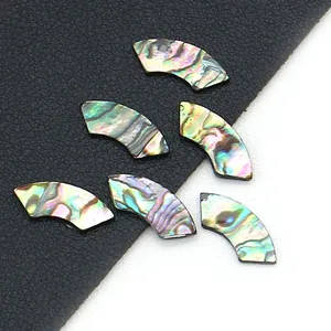 Natürliche Irisierende Abalone-Muschel Fächerförmiger Cabochon Für DIY Schmuckherstellung Halsketten Anhänger Bastelzubehör