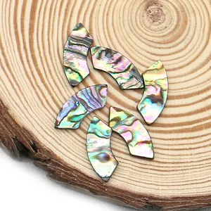 Natürliche Abalone-Muschelstücke in Fächerform mit Regenbogenfarben für DIY-Schmuck