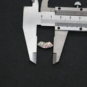 Makroaufnahme von 13mm sichelförmiger Abalone-Muschel mit irisierender Textur und Messschieber