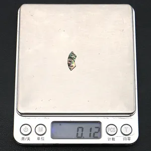 Makroansicht einer mondförmigen Abalone-Muschel Einlage mit 0,12g Gewicht auf Waage