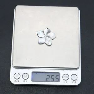 Vista macro che mostra il peso di 2,55 g di un ciondolo a fiore in conchiglia su scala