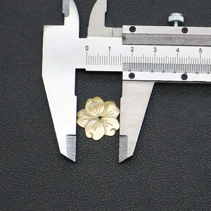 Makroaufnahme einer 15 mm geschnitzten Muschelblume mit irisierendem Glanz und Loch