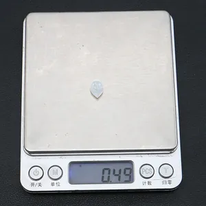 Nahaufnahme einer weißen geschnitzten Muschelperle mit einem Gewicht von 0,49 g