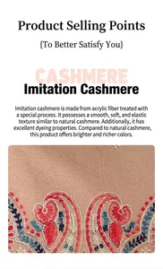 Gros plan sur la broderie ethnique paisley d'un châle doux en imitation cachemire de luxe