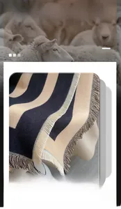 Close-up of soft cashmere-like scarf with thick stripes and delicate tassel fringe