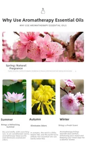 Detail guide of seasonal aromatherapy scents for air purification and mood enhancement