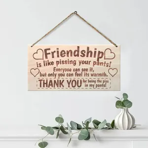 Rustic wooden wall sign with funny friendship quote and hanging jute rope for home decor
