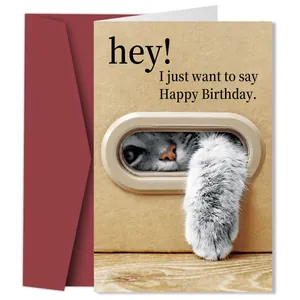 Carte de Voeux Joyeux Anniversaire Chat Rigolo Avec Enveloppe Rouge Carte en Papier Kraft Pour Amateurs de Chats