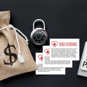 Detail of first aid guide cards with stainless steel padlock and burlap money bag